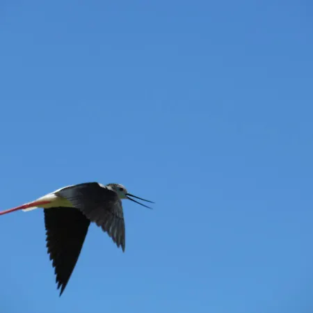 Hotel Aveiro Centro Casa de hóspedes