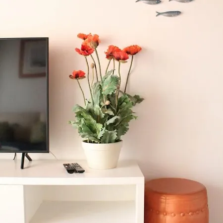 بيت ضيافة Aveirohouse *