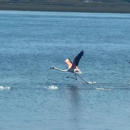 Hotel Aveiro Centro Casa de hóspedes