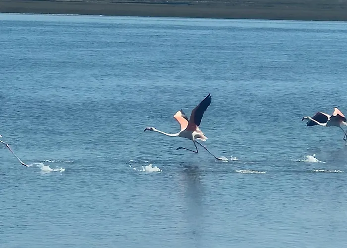 Aveirohouse Maison d'hôtes